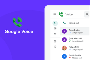 Google Voice Accounts GV buy